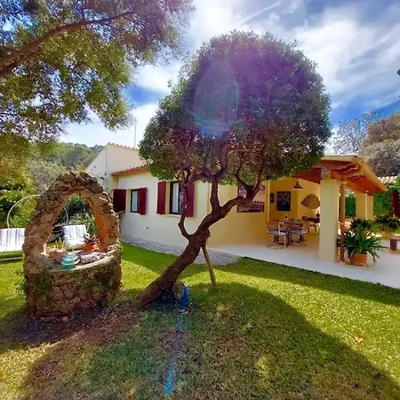 Bennassar * Cala San Vicente (Mallorca)